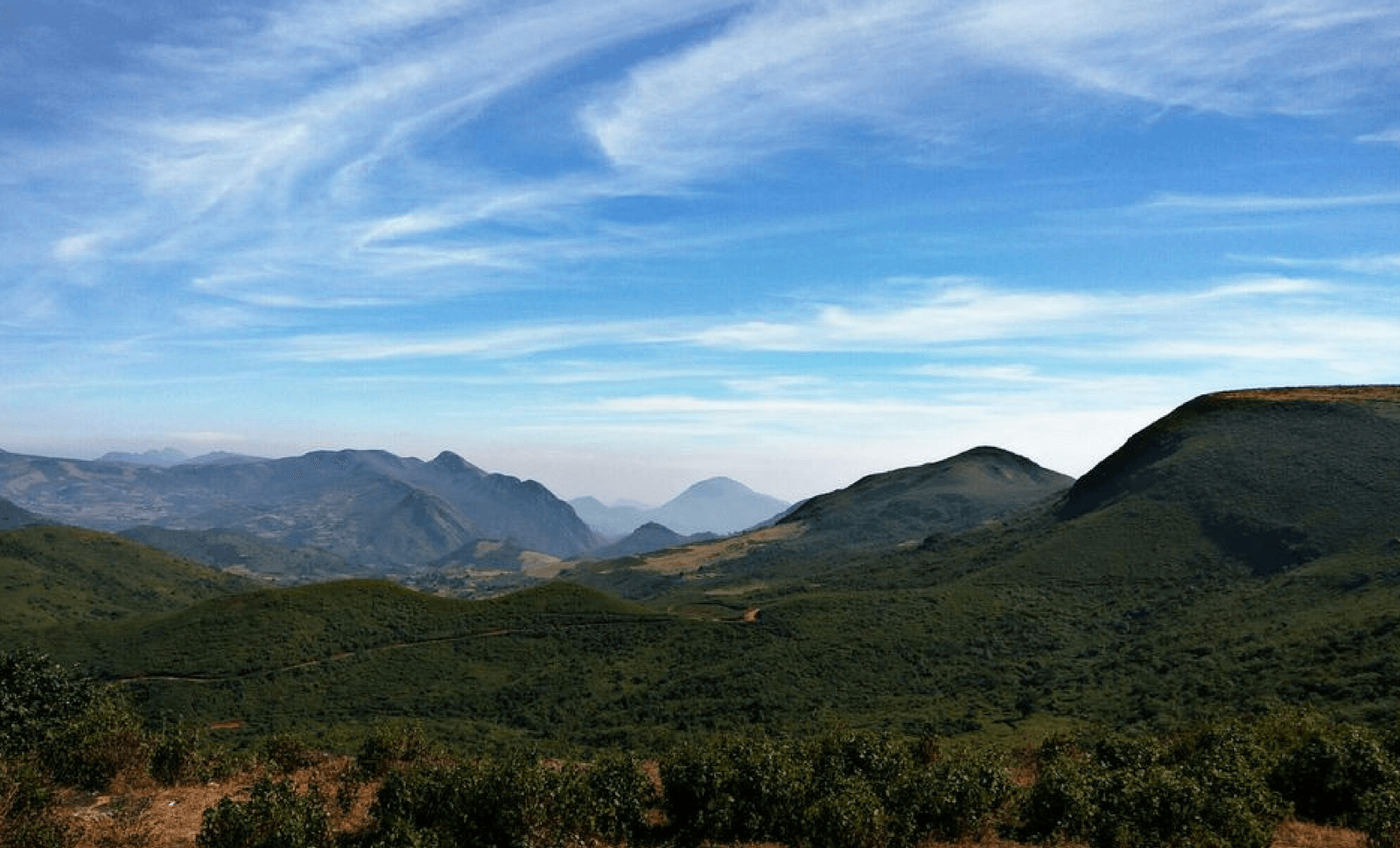 <div id= "tml-link"><a href="/bhitarkanika-national-park/">Deomali</a></div>