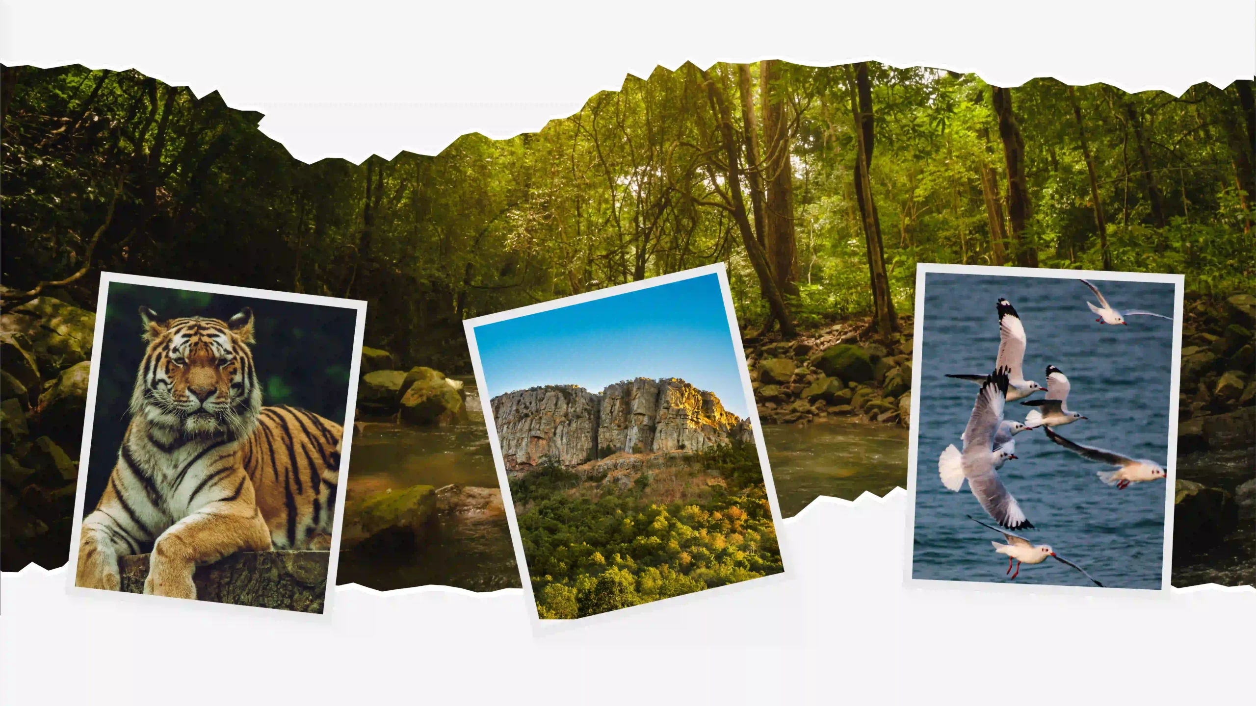 Web landing pafes-03